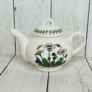 Portmeirion Miniature Tea For One Botanic Garden Teapot Daisies Daisy England